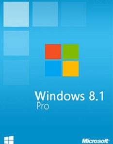 Windows 8.1 Pro cd key
