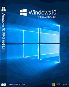 Windows 10 Professional cdkey