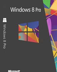 Windows 8 Professional cd key