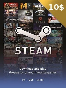 $10 Steam Game Card